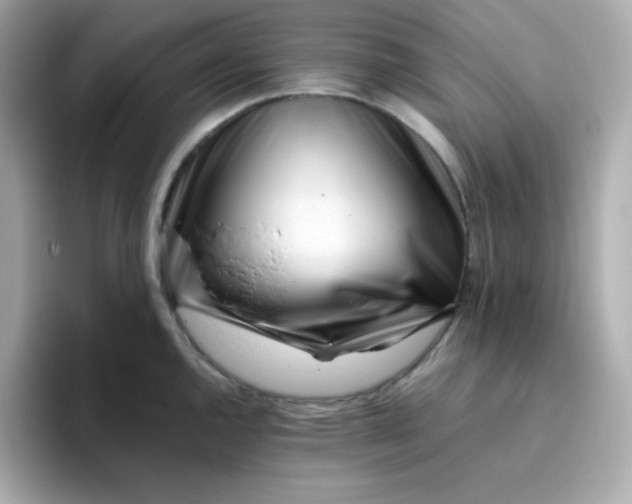 X0000096461144200802141527