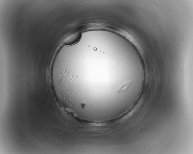 X0000096461145200802141527