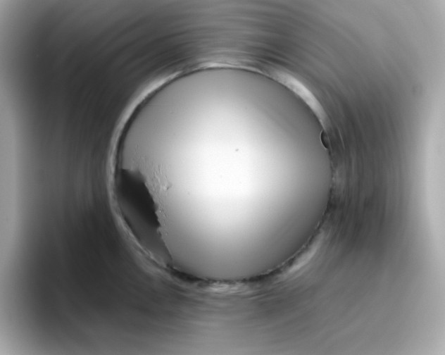 X0000096461146200802141527