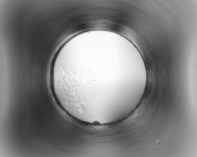X0000096461147200802141527