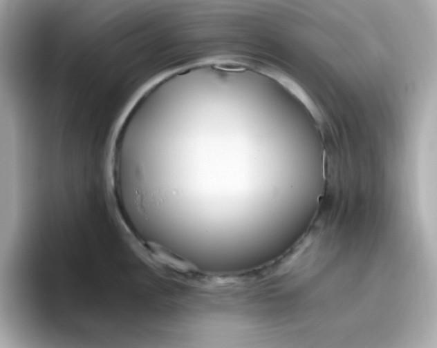 X0000096461148200802141527