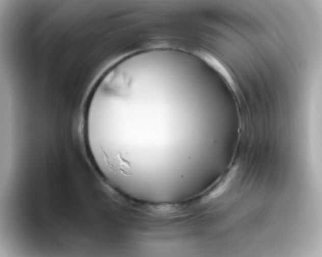 X0000096461149200802141527