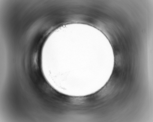 X0000096461150200802141527