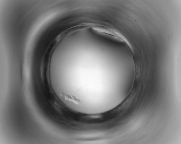 X0000096461151200802141527