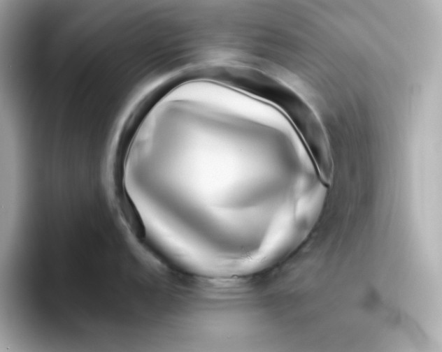 X0000096461152200802141527