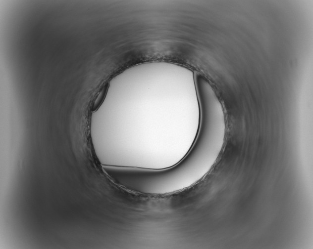 X0000096461153200802141526