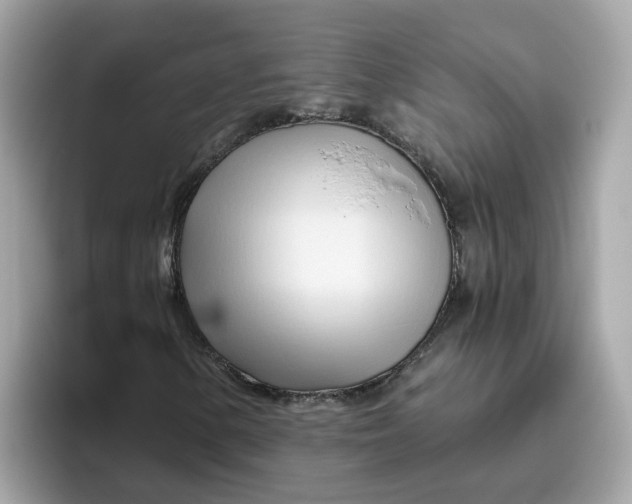 X0000096461154200802141526