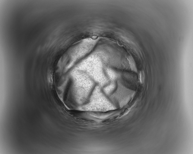 X0000096461155200802141526