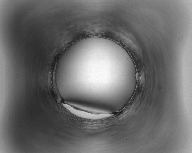 X0000096461156200802141526
