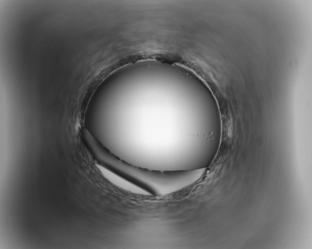 X0000096461157200802141526