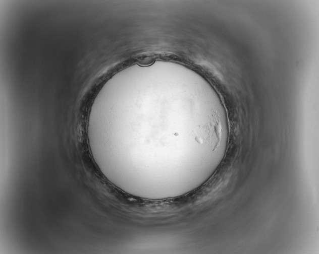 X0000096461159200802141526
