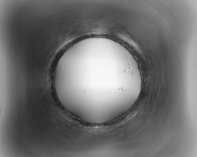 X0000096461160200802141526