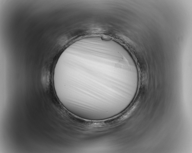 X0000096461161200802141526
