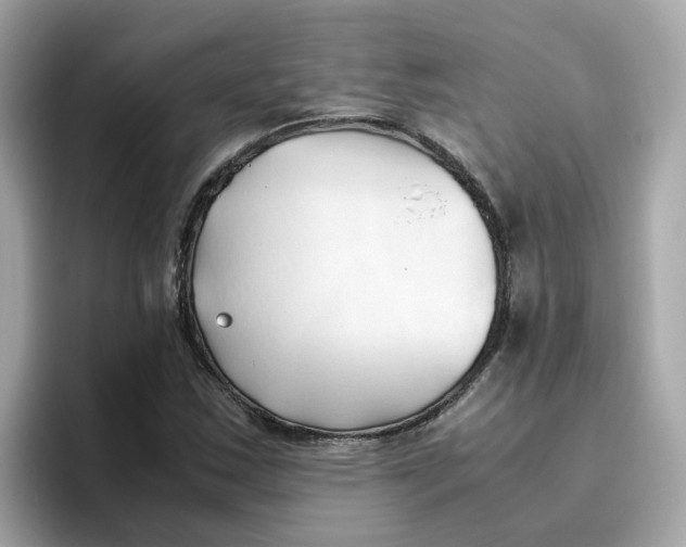 X0000096461163200802141526