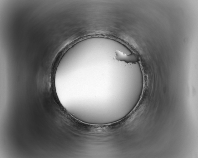 X0000096461165200802141526