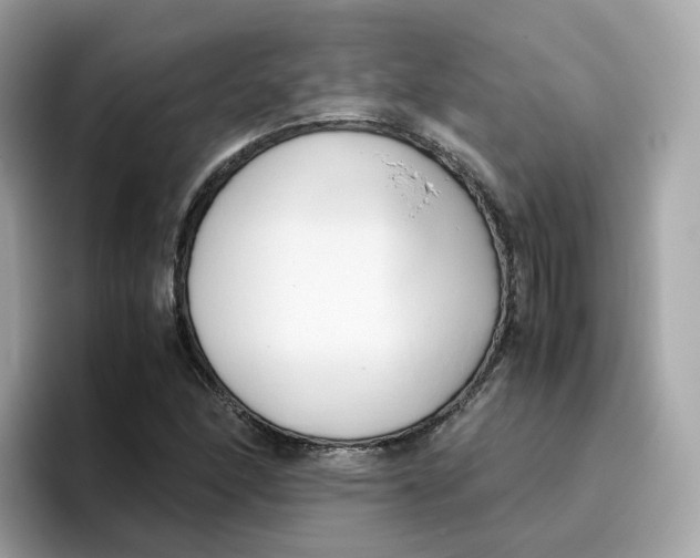 X0000096461166200802141526