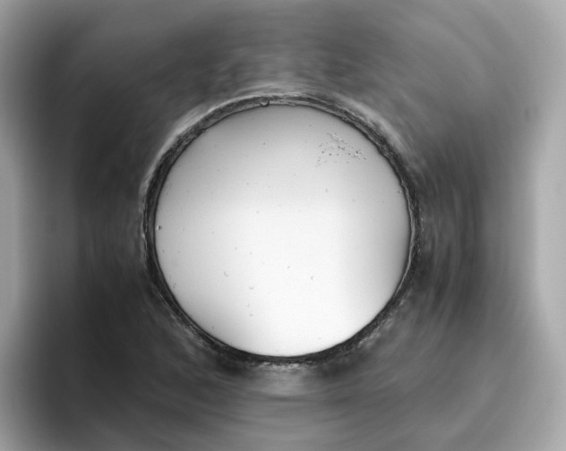 X0000096461168200802141526