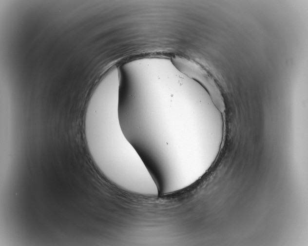 X0000096461169200802141526
