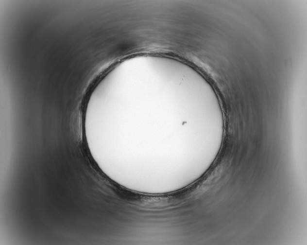 X0000096461171200802141526