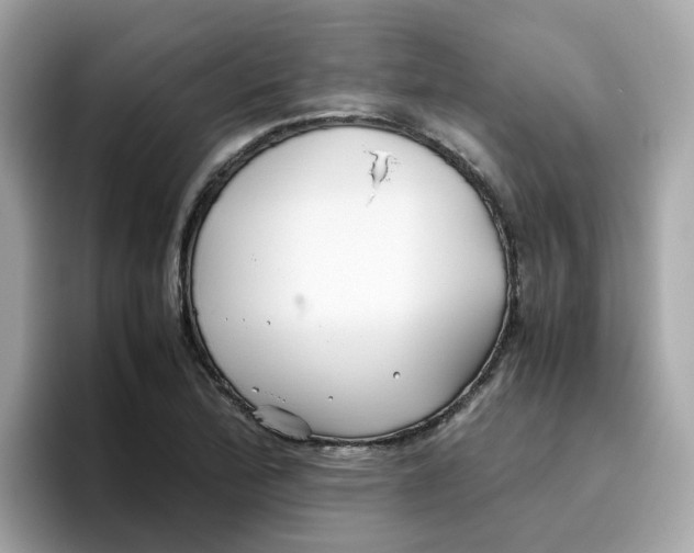 X0000096461172200802141526