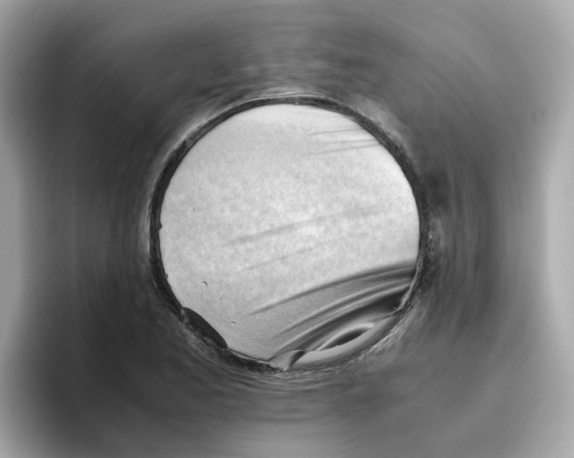 X0000096461173200802141526