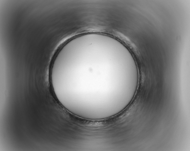 X0000096461174200802141526