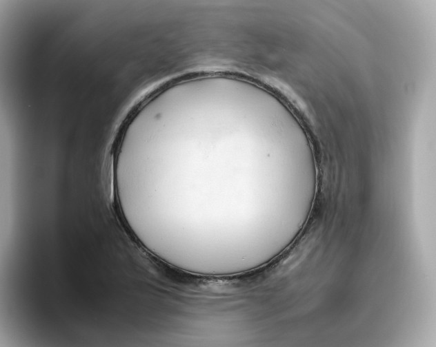X0000096461175200802141526