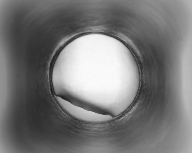 X0000096461176200802141526