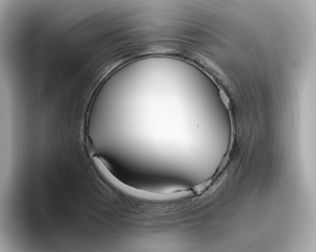 X0000096461177200802141526