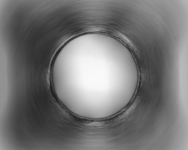 X0000096461178200802141526