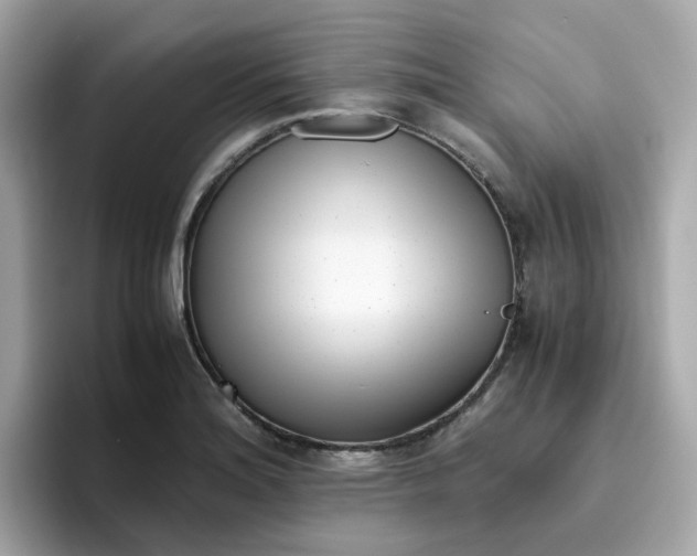 X0000096461180200802141526
