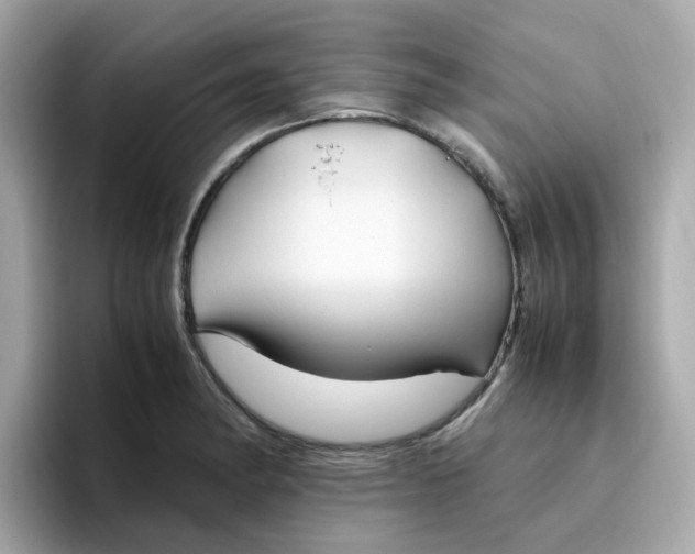 X0000096461182200802141526