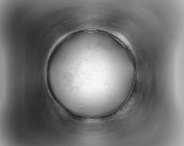 X0000096461183200802141526