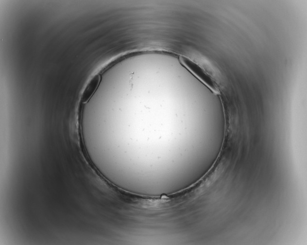 X0000096461184200802141526