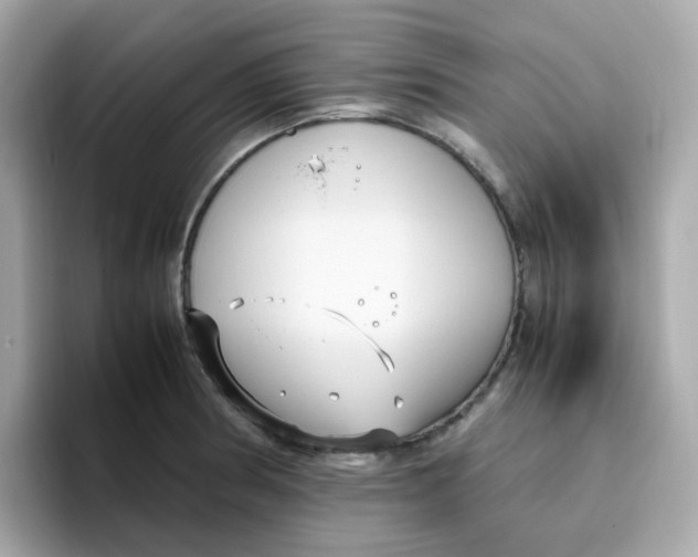 X0000096461186200802141526