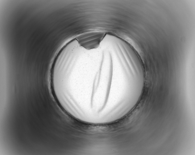X0000096461187200802141526
