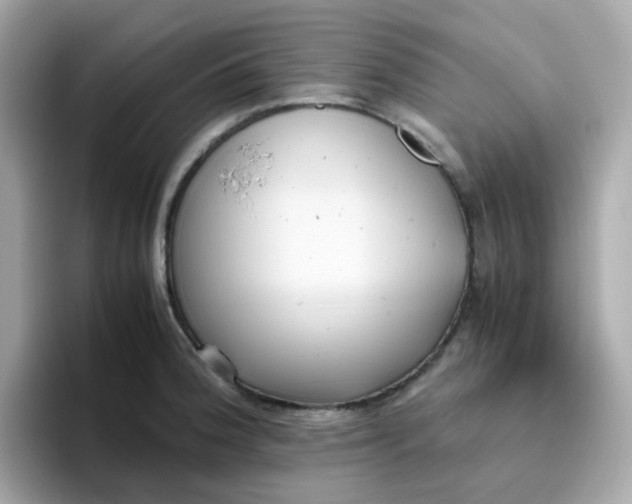 X0000096461188200802141526