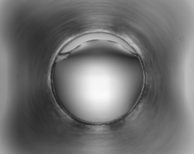X0000096461189200802141526