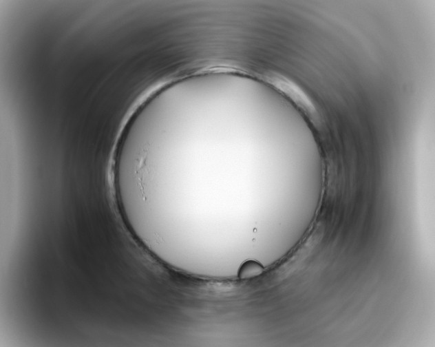 X0000096461190200802141526