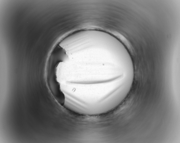 X0000096461191200802141526