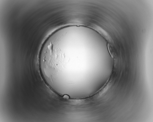 X0000096461192200802141526