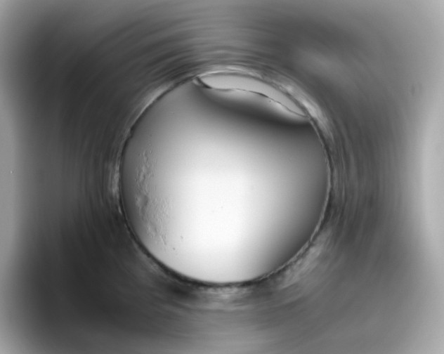 X0000096461193200802141526