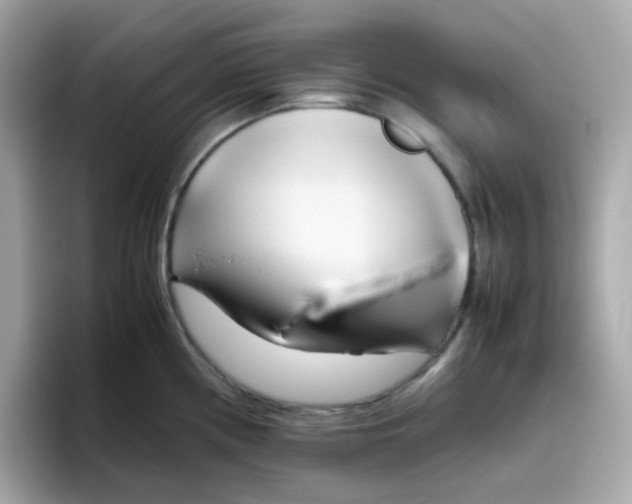 X0000096461194200802141526