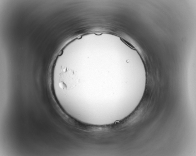 X0000096461195200802141526