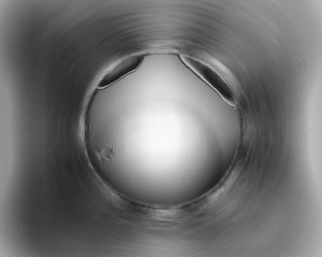 X0000096461196200802141526