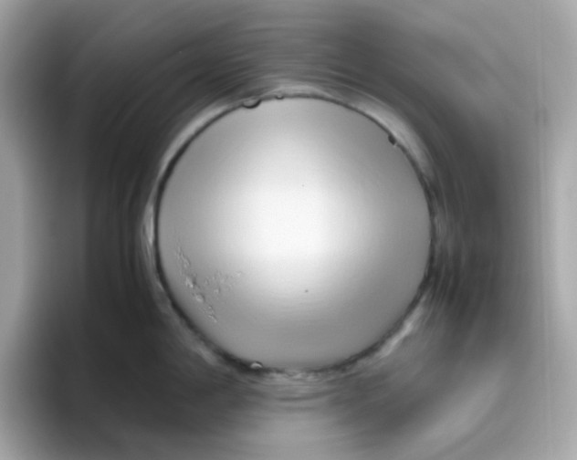 X0000096461198200802141526