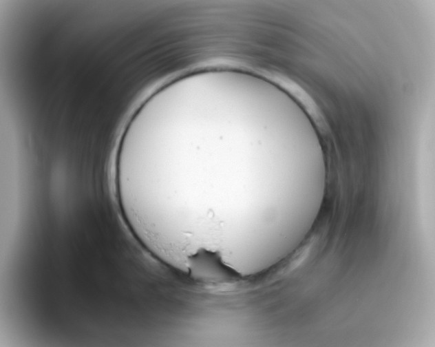 X0000096461199200802141526