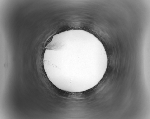 X0000096461201200802141525