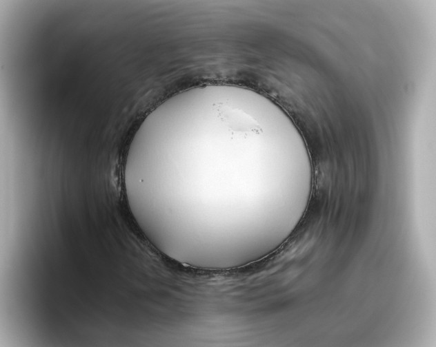 X0000096461202200802141525