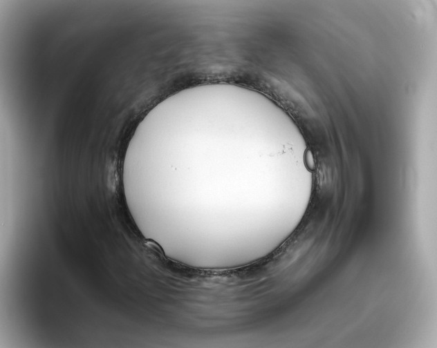 X0000096461204200802141525